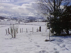 Épisode neigeux du 28 février 2004: il sera tombé entre 15 à 20 cm de neige par endroit au Pays basque intérieur...