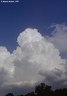 Cumulus Congestus en mai 1999. Depuis Larribar-Sorhapuru (64)