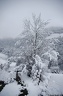 Episode neigeux du 12-13 Mars 2013