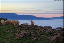 17h55 - Les moutons au-dessus des nuages