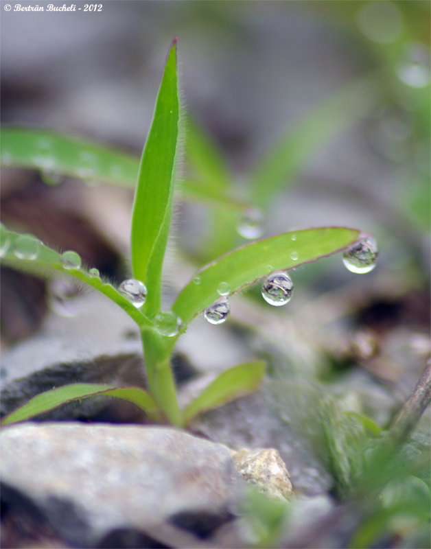 20120720152507-d23d7a43.jpg