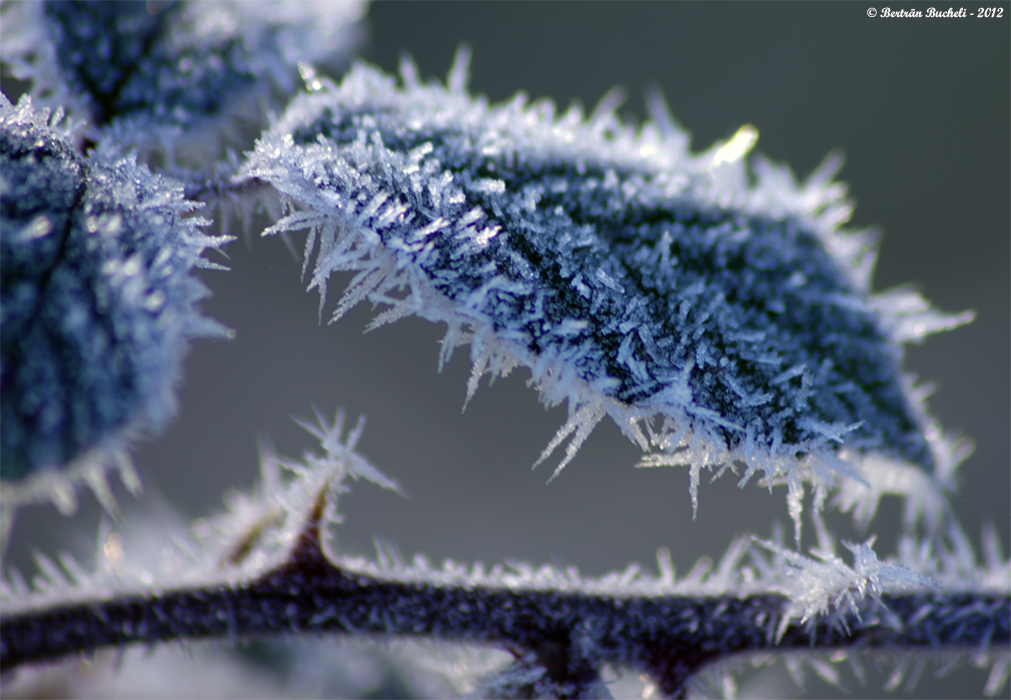 20121212190023-479ed67c.jpg